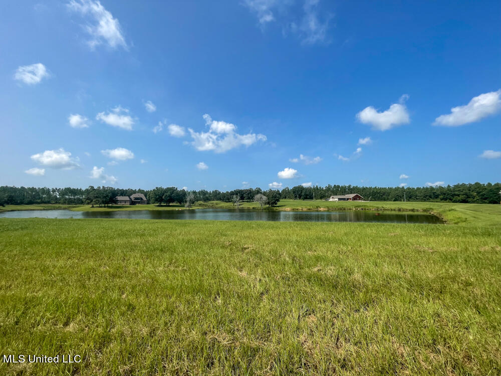 Lot 11 Conner Stringer Drive Lucedale, MS 39452 - Photo 52 of 54 IMG_2324