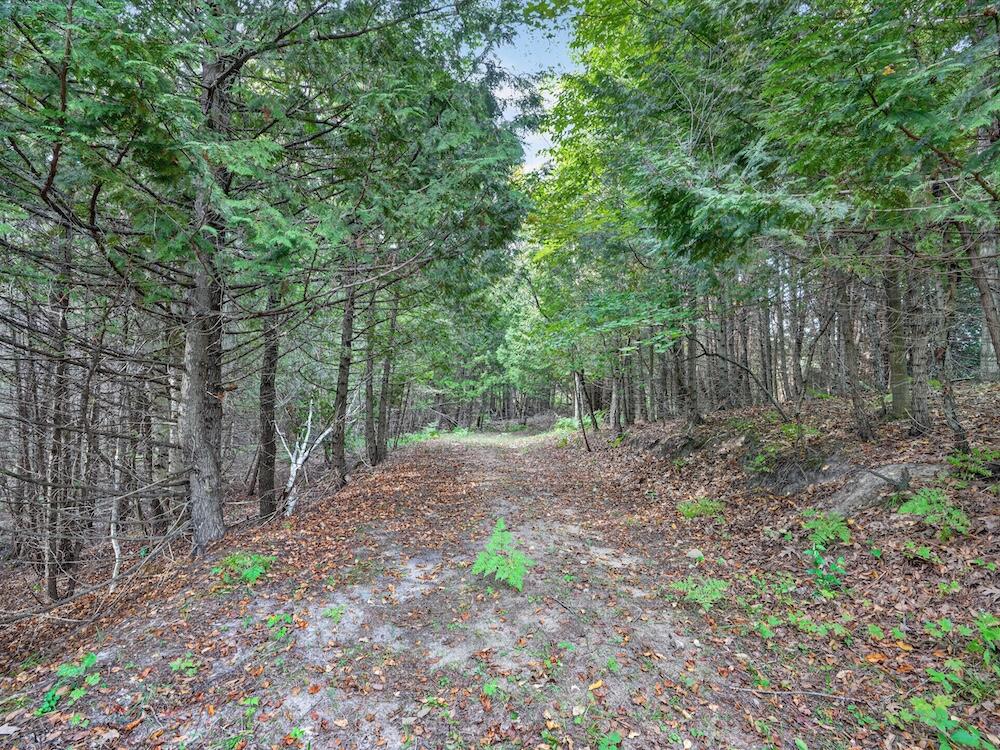 8530 Toad Lake Road Ellsworth, MI 49729 - Photo 41 of 93 072_DSC00146