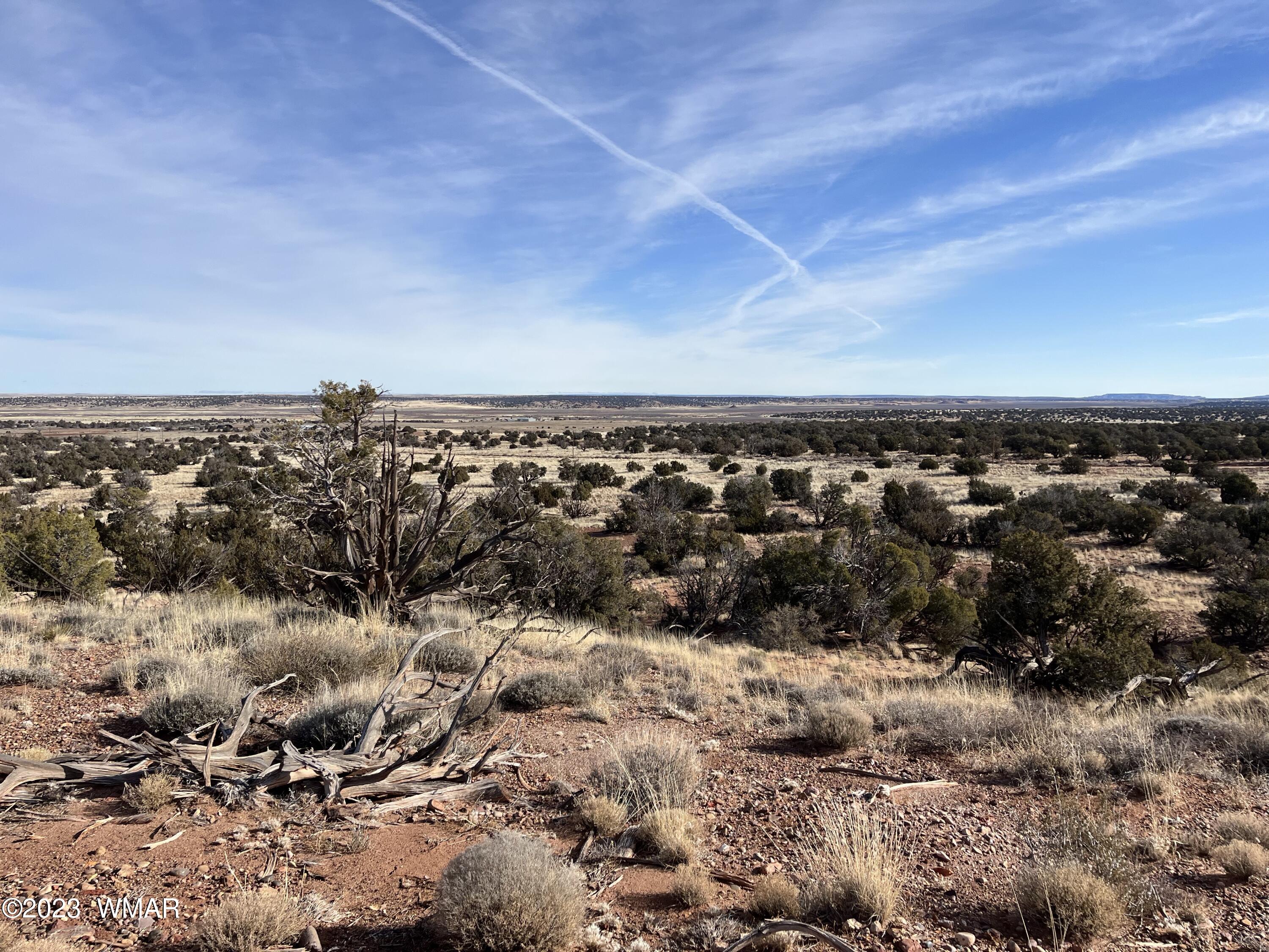 Tbd County Line Road Snowflake, AZ 85937 - Photo 12 of 20 Gallery Image 12