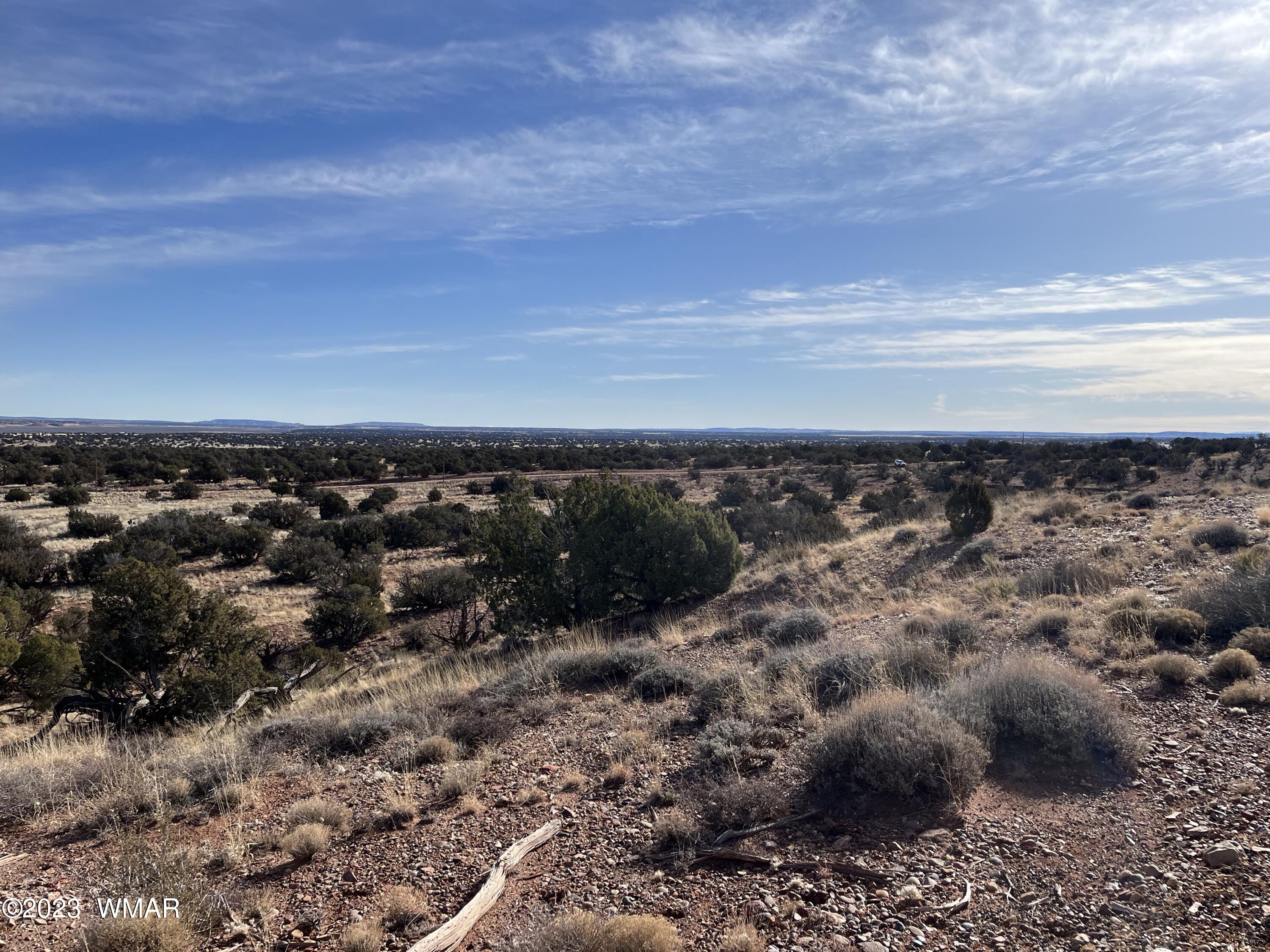 Tbd County Line Road Snowflake, AZ 85937 - Photo 13 of 20 Gallery Image 13
