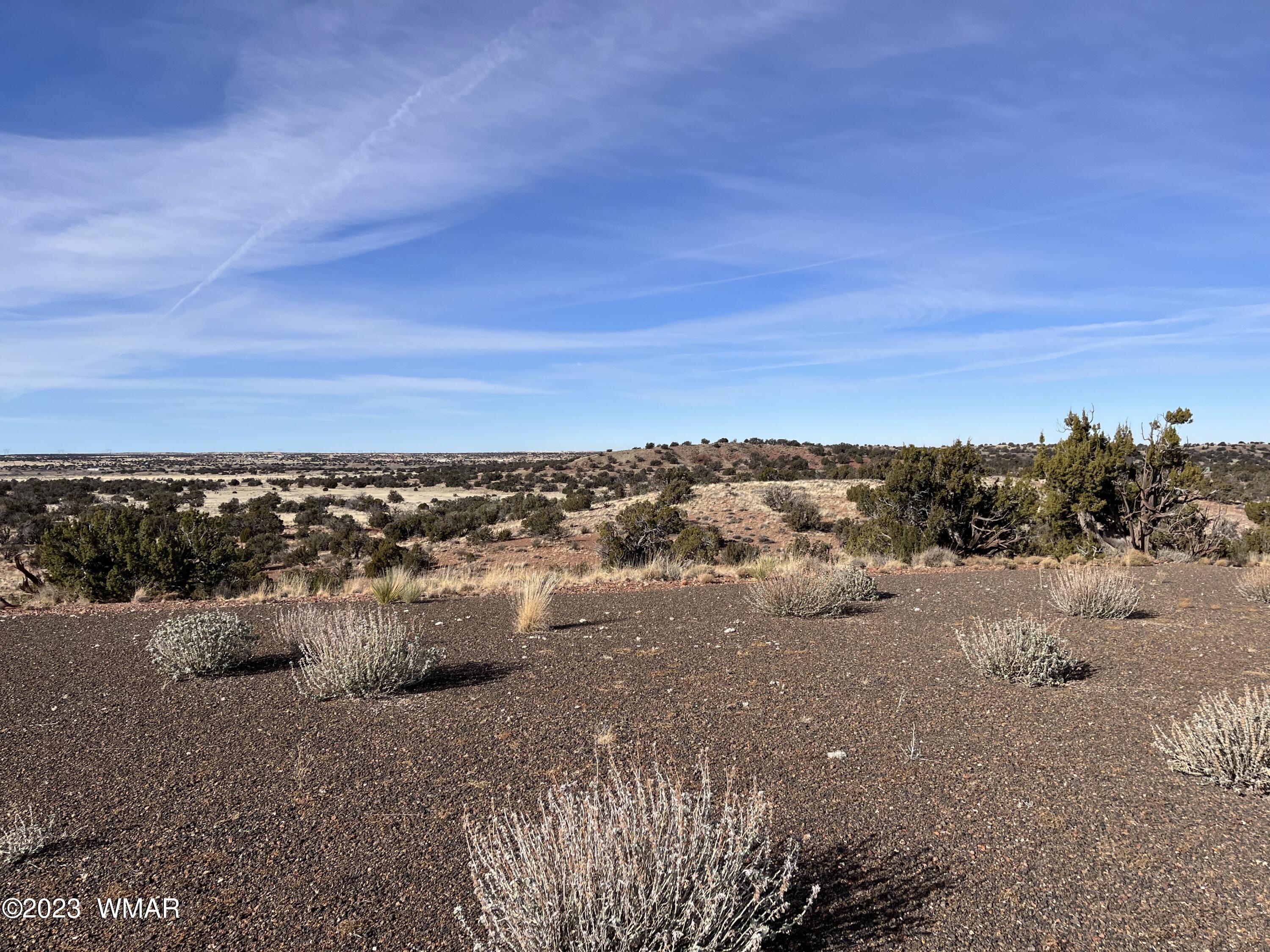 Tbd County Line Road Snowflake, AZ 85937 - Photo 14 of 20 Gallery Image 14