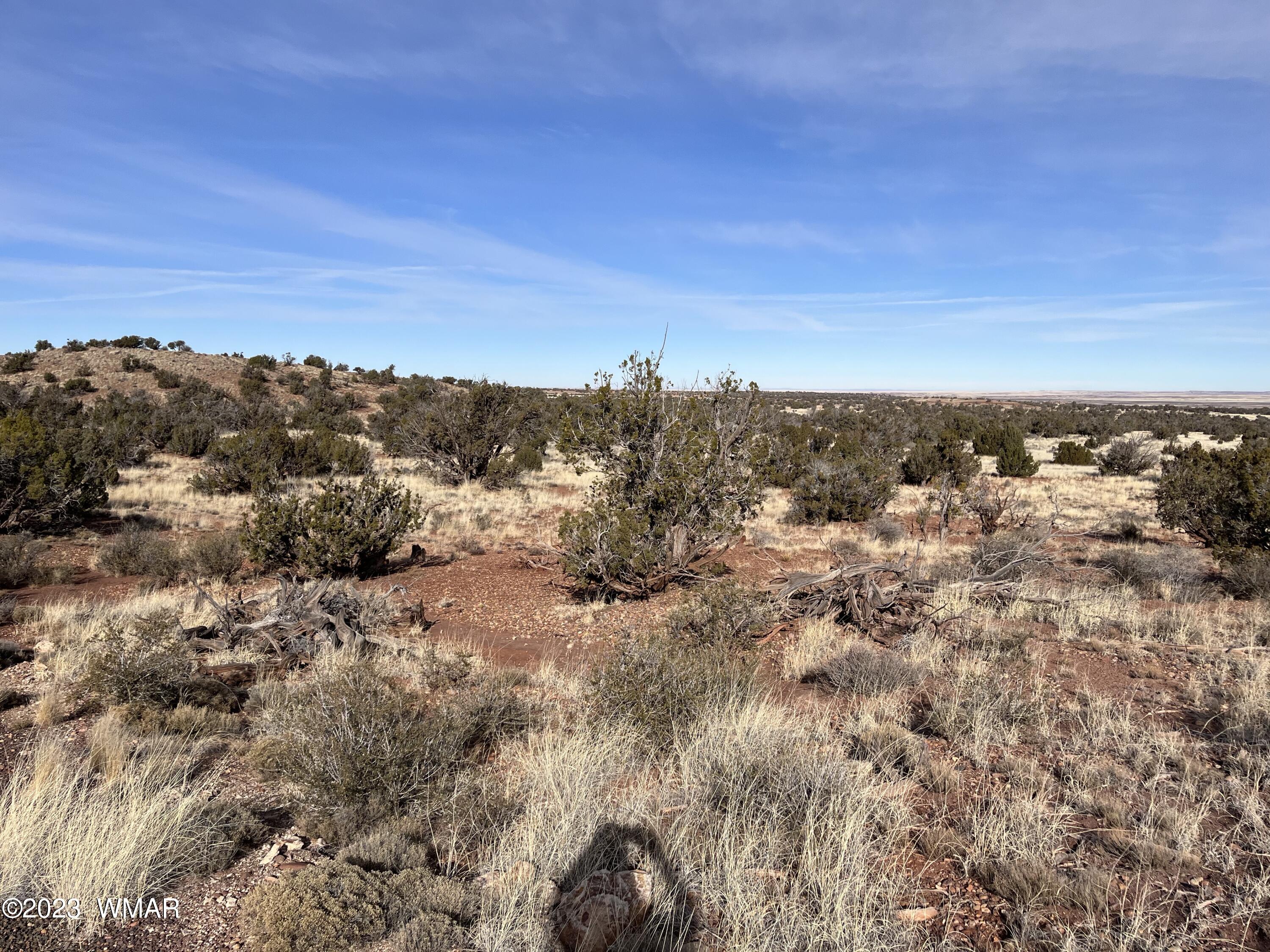 Tbd County Line Road Snowflake, AZ 85937 - Photo 4 of 20 Gallery Image 4