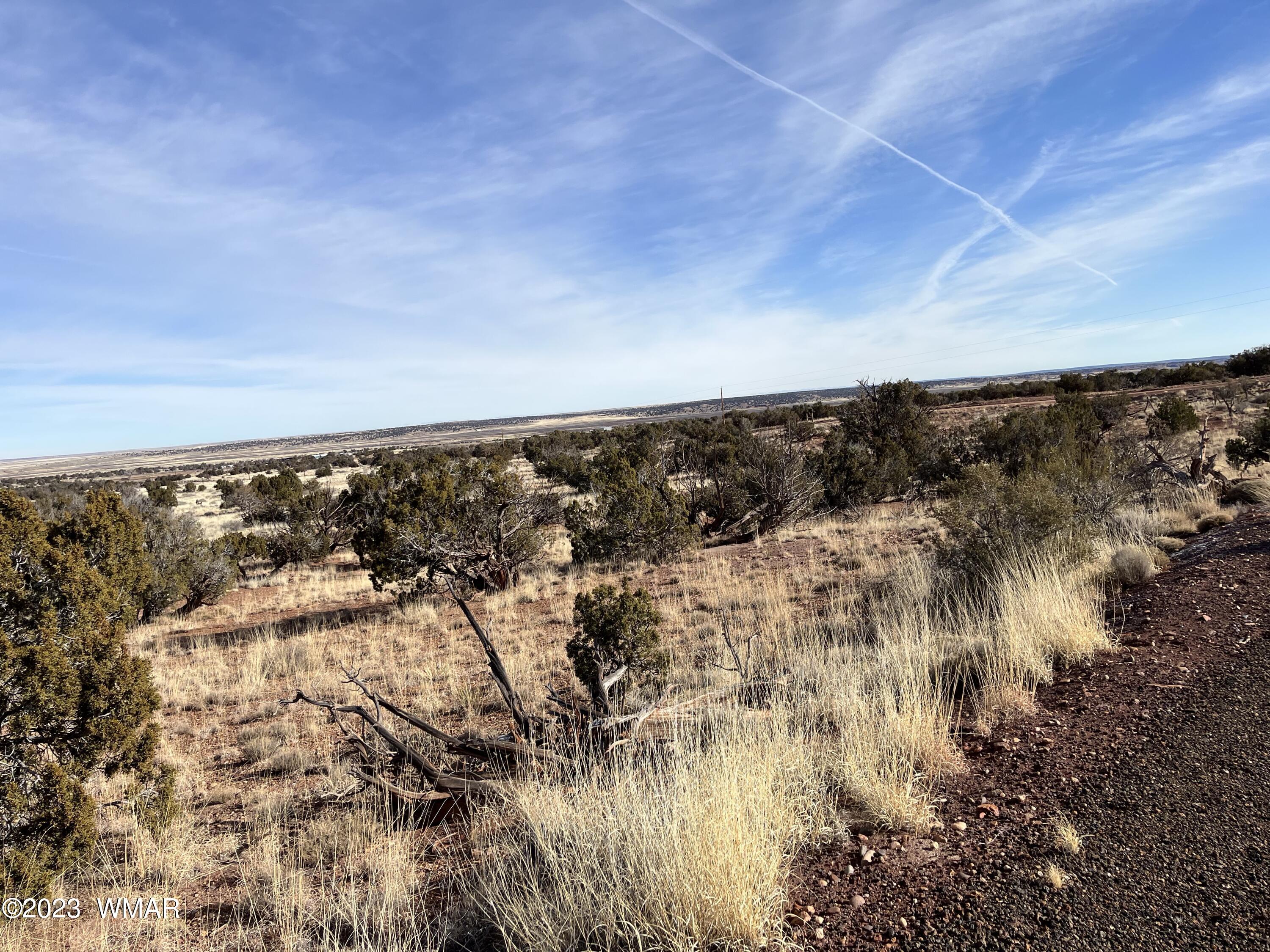 Tbd County Line Road Snowflake, AZ 85937 - Photo 5 of 20 Gallery Image 5
