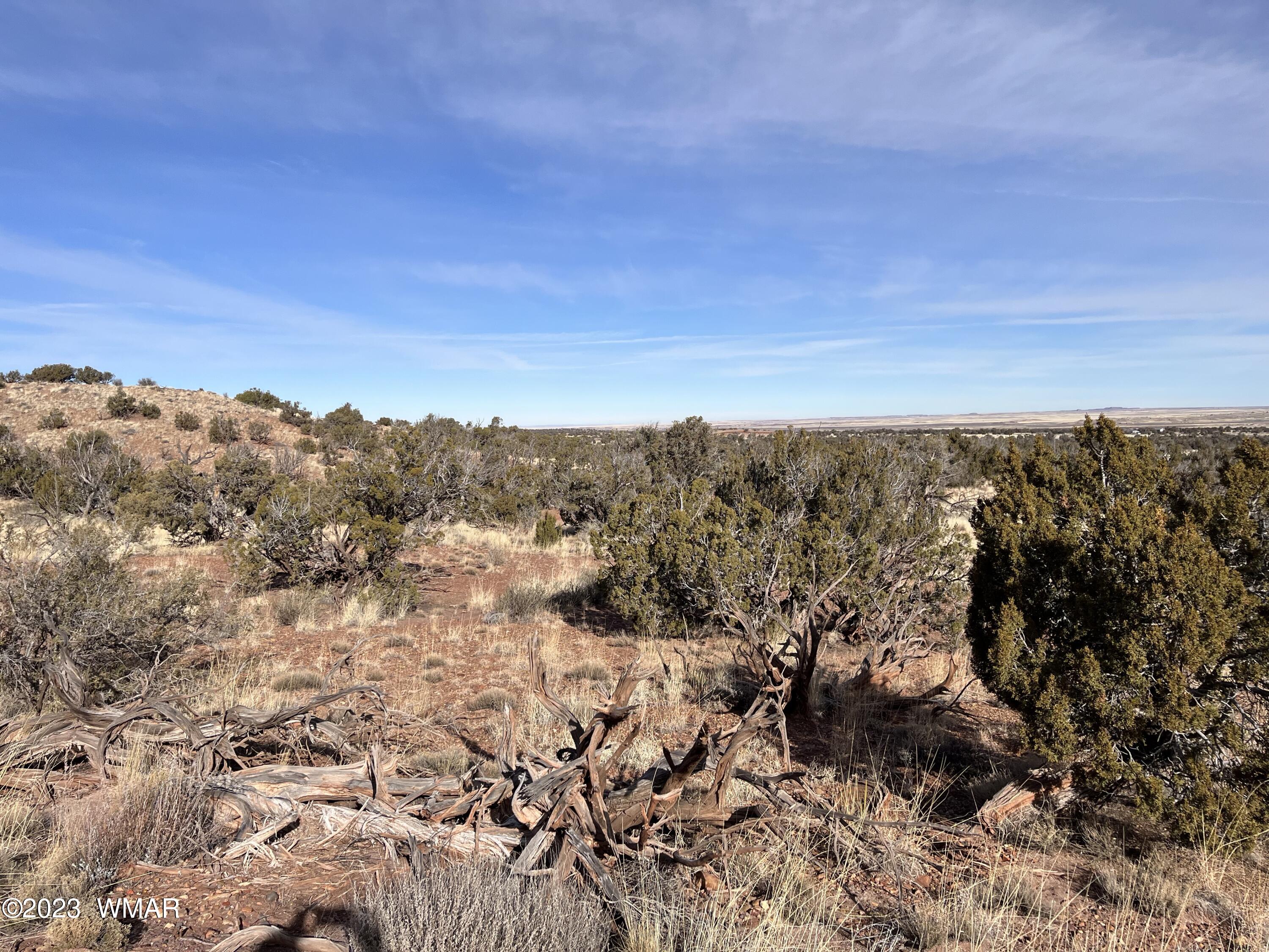 Tbd County Line Road Snowflake, AZ 85937 - Photo 6 of 20 Gallery Image 6
