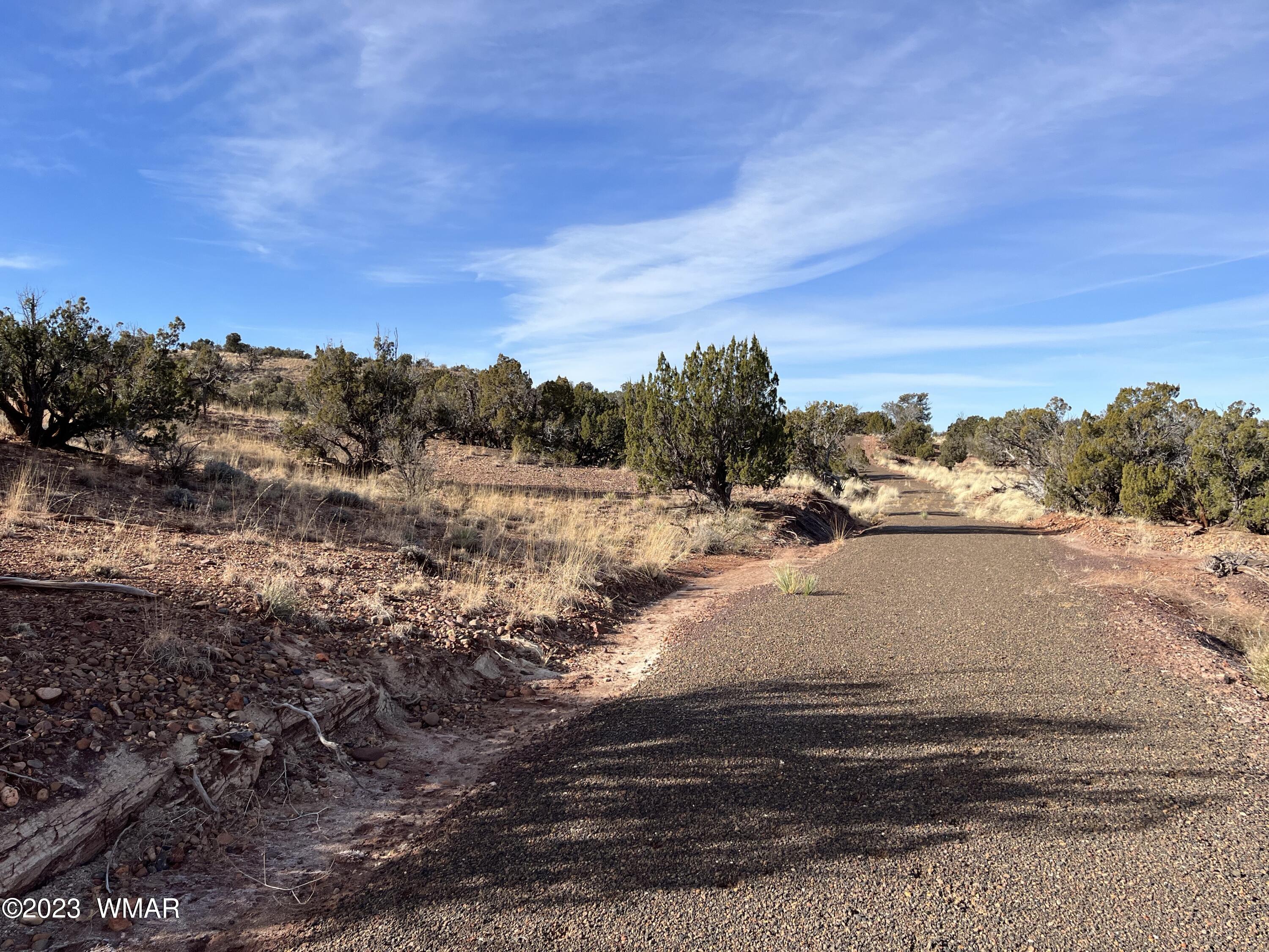 Tbd County Line Road Snowflake, AZ 85937 - Photo 8 of 20 Gallery Image 8