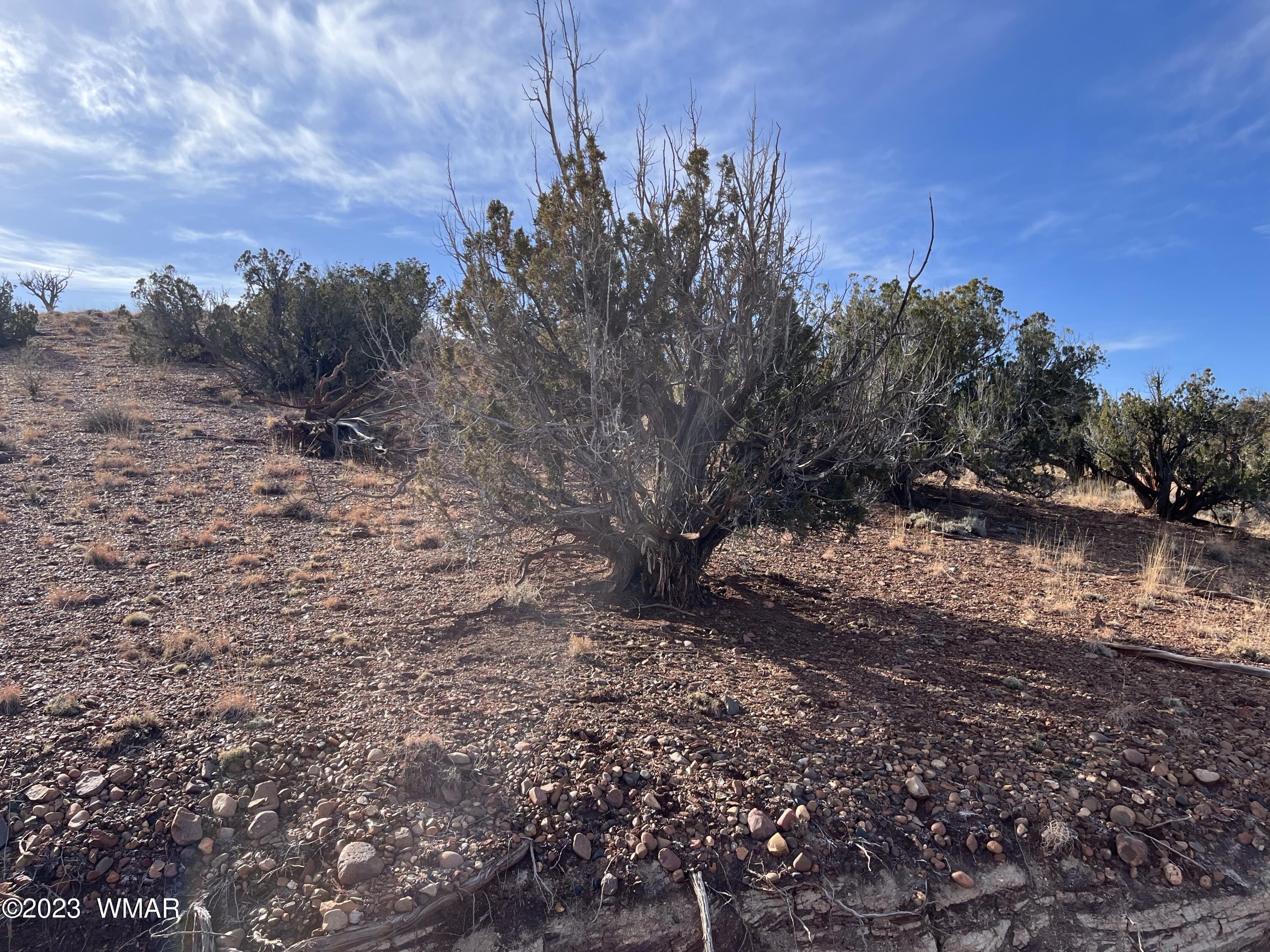 Tbd County Line Road Snowflake, AZ 85937 - Photo 9 of 20 Gallery Image 9