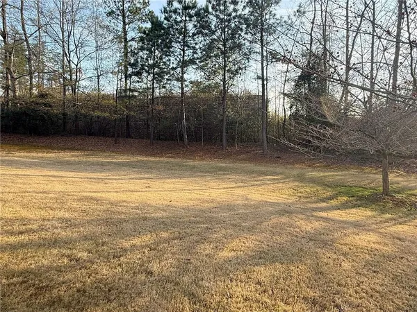 a view of a backyard with trees
