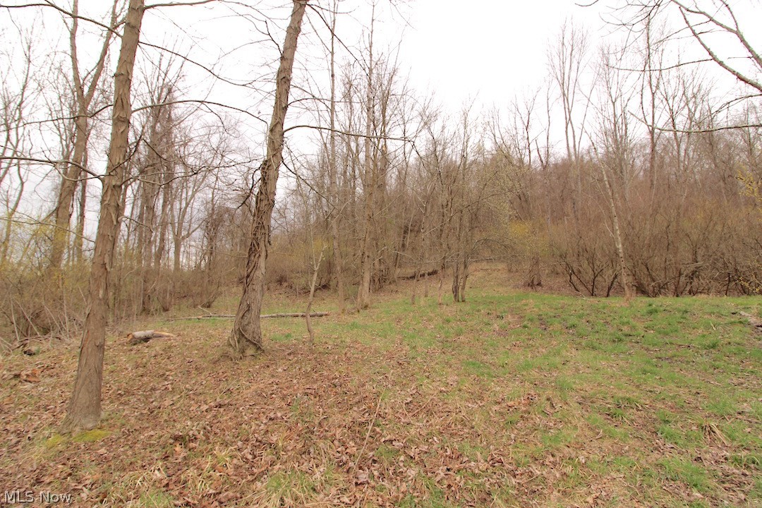 53483 Opossum Run Road Senecaville, OH 43780 - Photo 10 of 25 Gallery Image 10