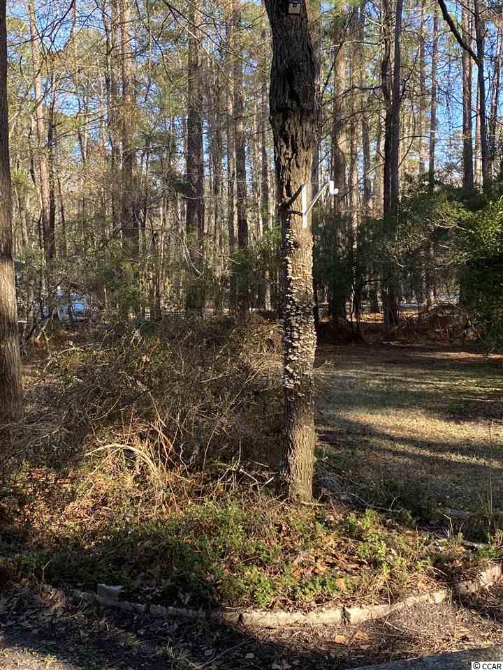 3840 Limerick Road Myrtle Beach, SC 29579 - Photo 10 of 10 Gallery Image 10