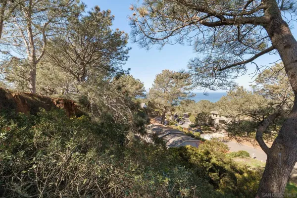 a view of mountain view with lots of trees