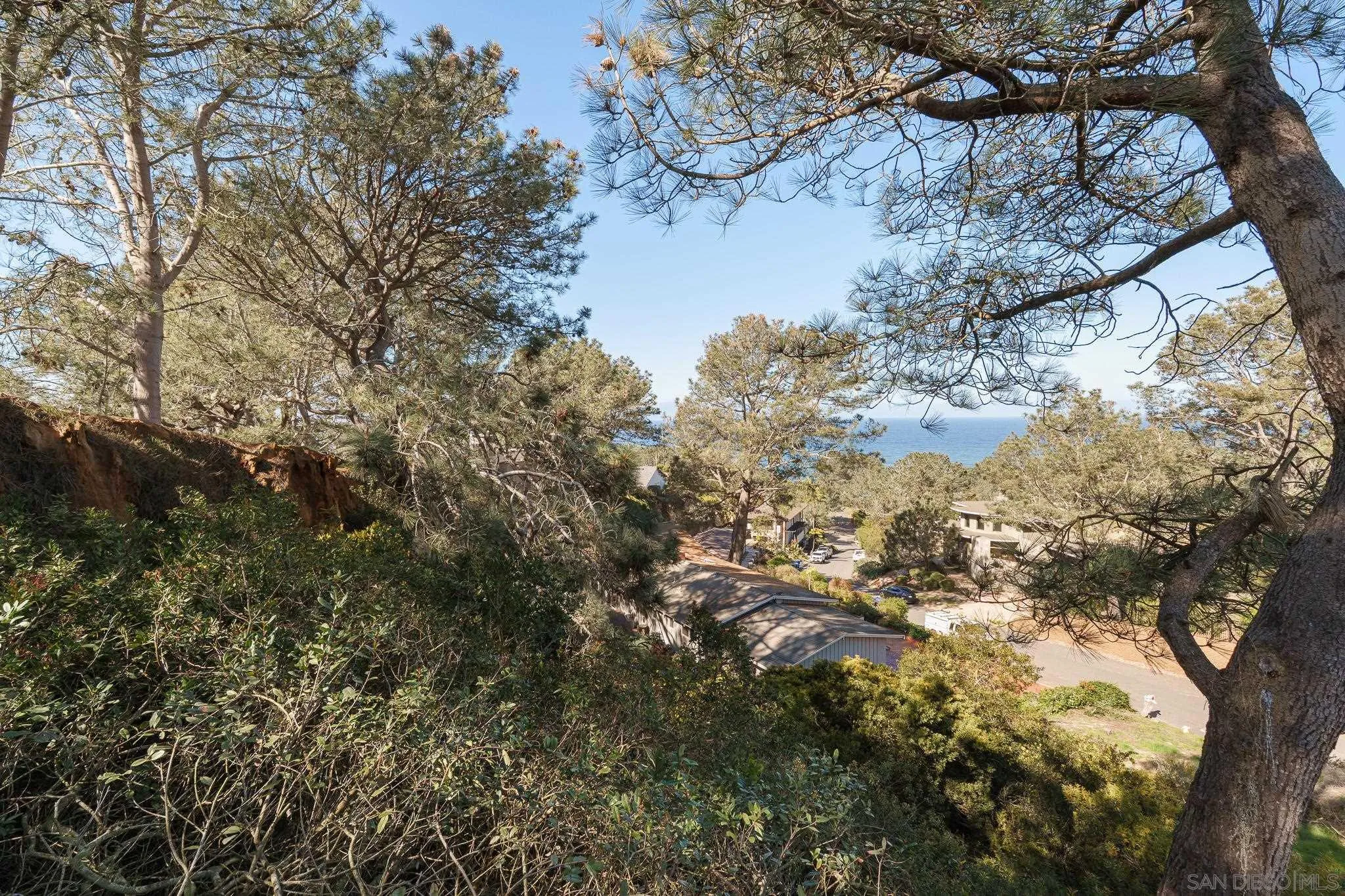 0 Hidden Pines Road Del Mar, CA 92014 - Photo 13 of 37 a view of mountain view with lots of trees