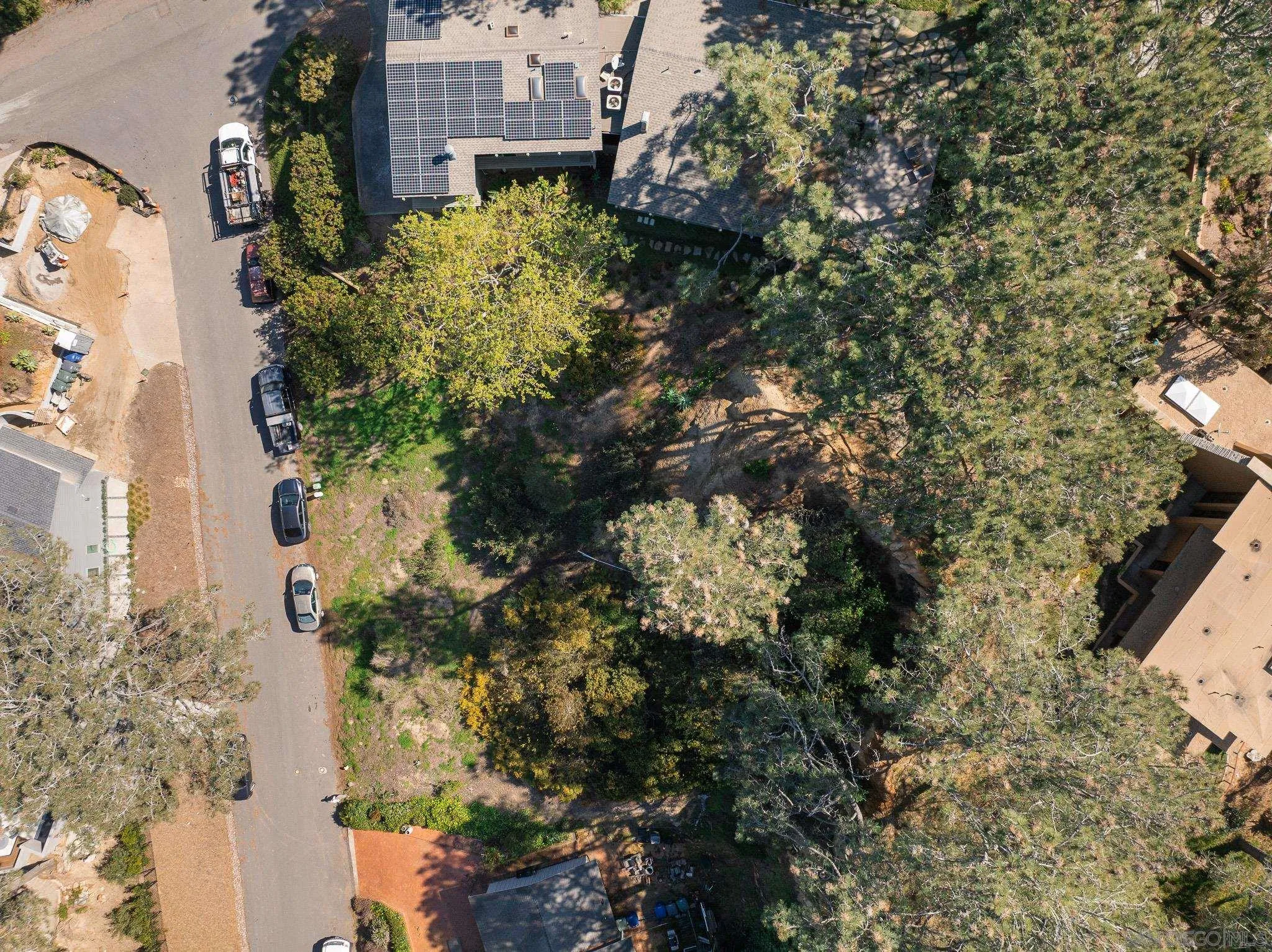 0 Hidden Pines Road Del Mar, CA 92014 - Photo 29 of 37 a plant that is in a yard