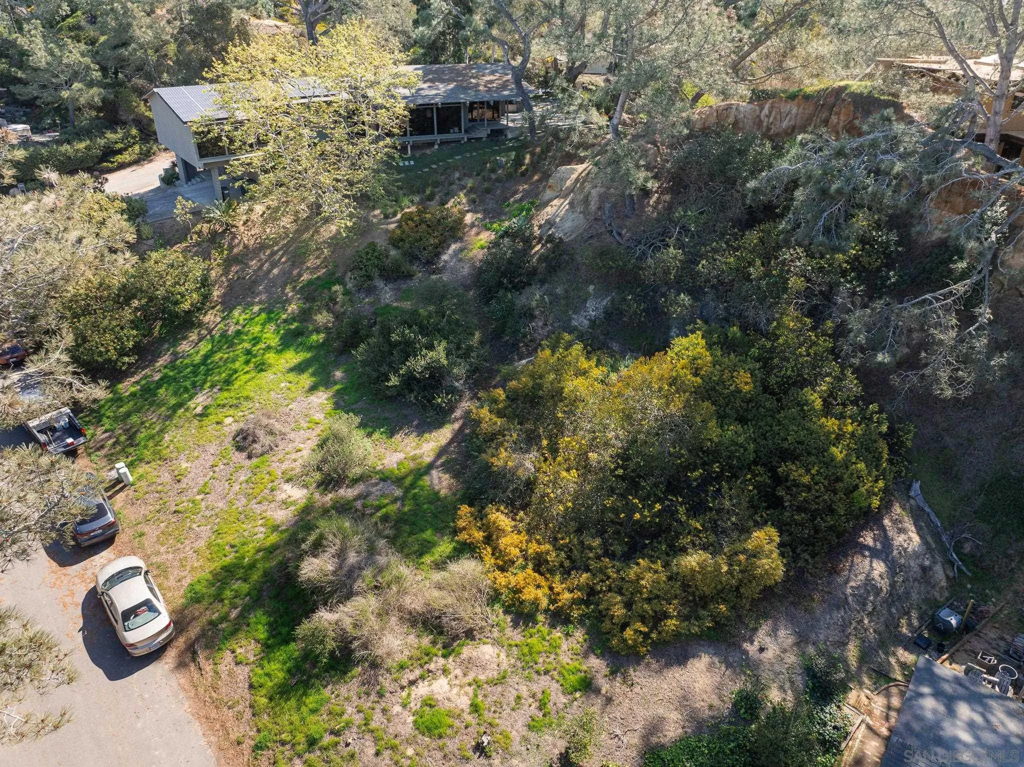 0 Hidden Pines Road Del Mar, CA 92014 - Photo 30 of 37 a close up of a tree