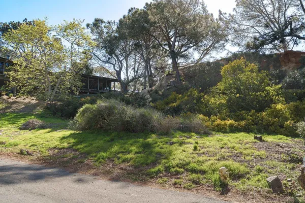 a big yard with lots of green space