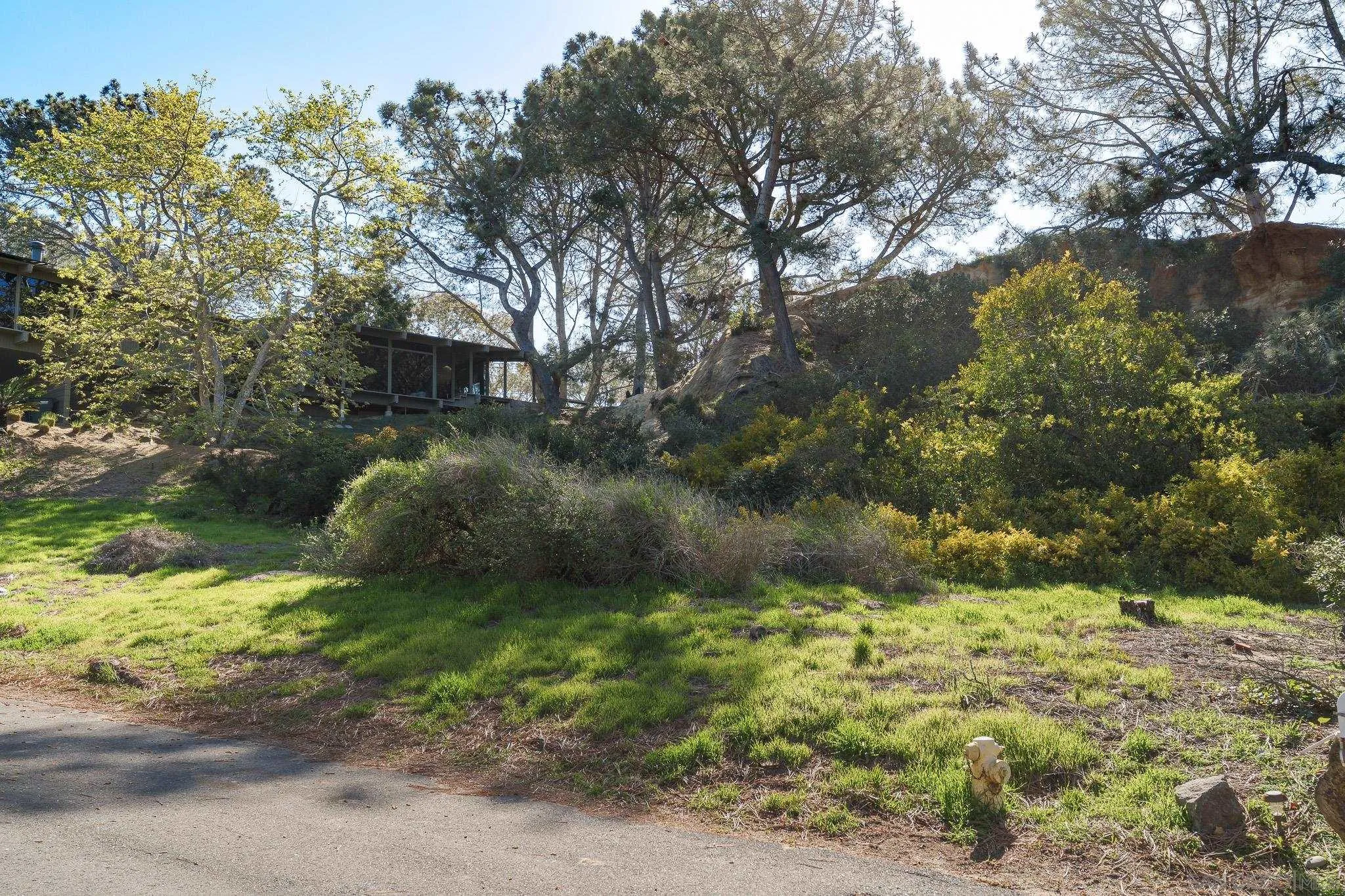 0 Hidden Pines Road Del Mar, CA 92014 - Photo 10 of 37 a big yard with lots of green space