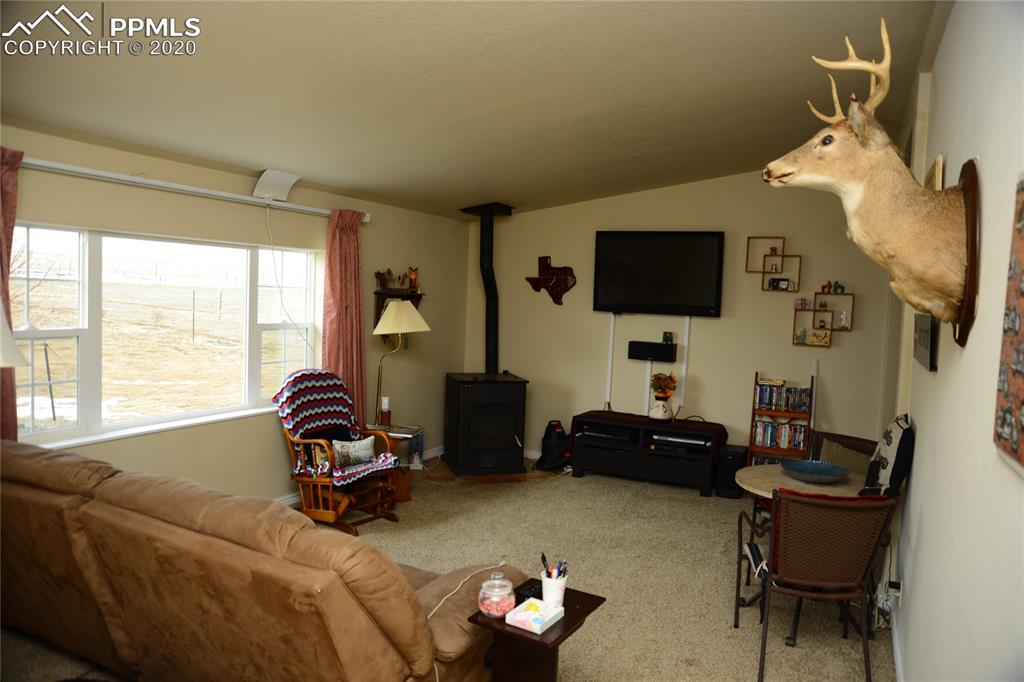 8345 Harding Road Rush, CO 80833 - Photo 3 of 33
