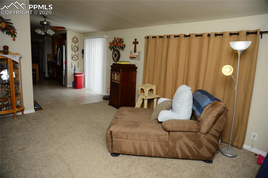 8345 Harding Road Rush, CO 80833 - Photo 22 of 33
