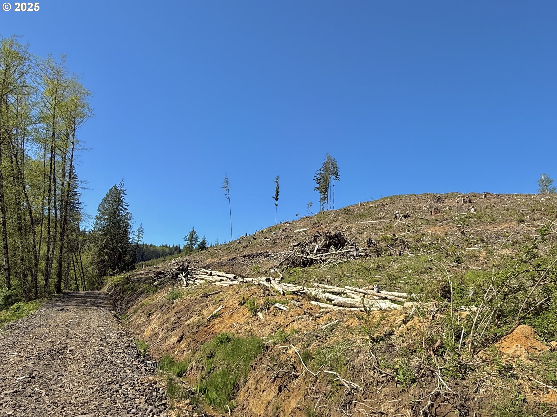 73000 Clatskanie Heights Road Clatskanie, OR 97016 - Photo 12 of 28 a view of a snow on the mountain