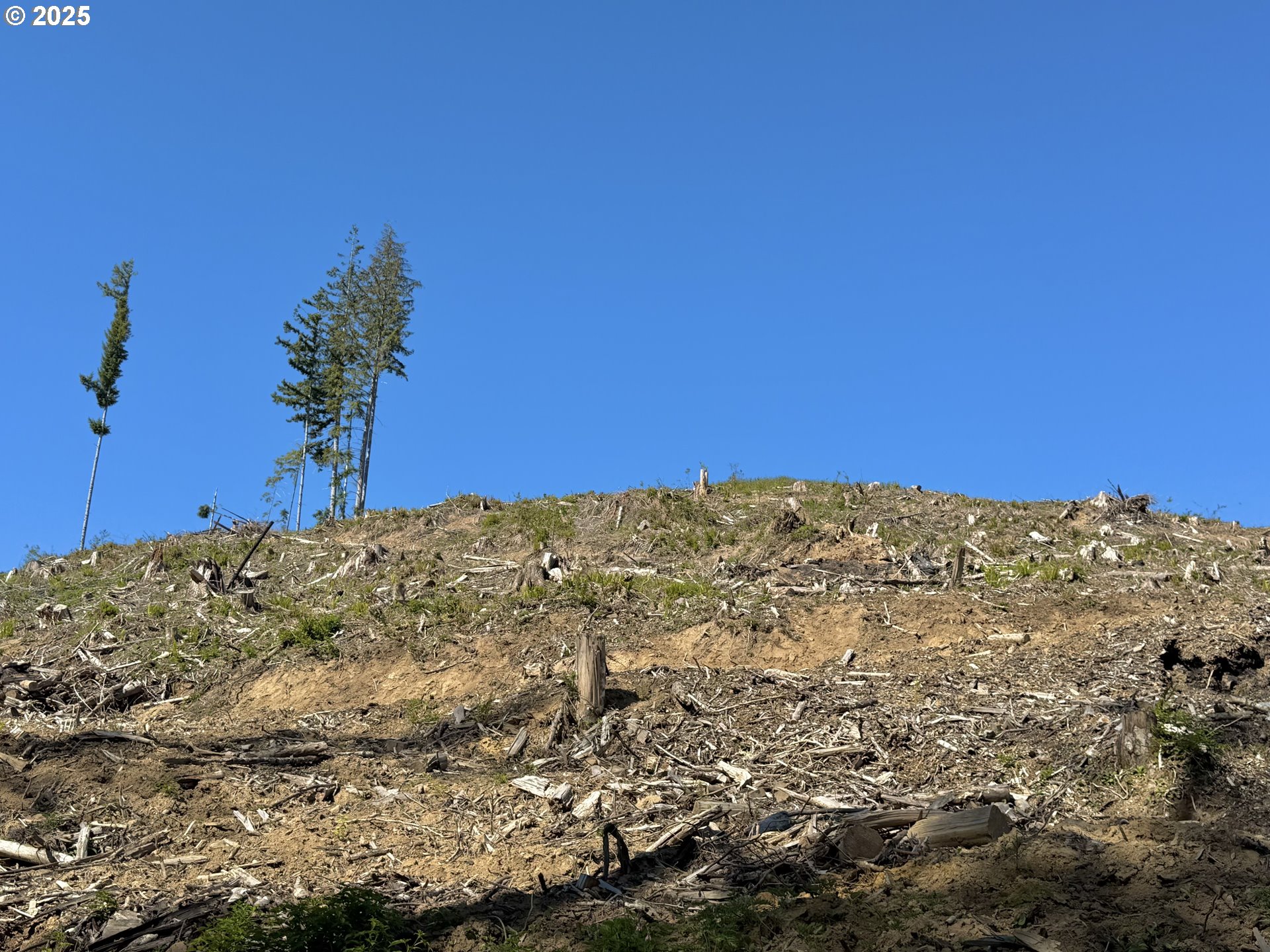 73000 Clatskanie Heights Road Clatskanie, OR 97016 - Photo 14 of 28 a view of a large building