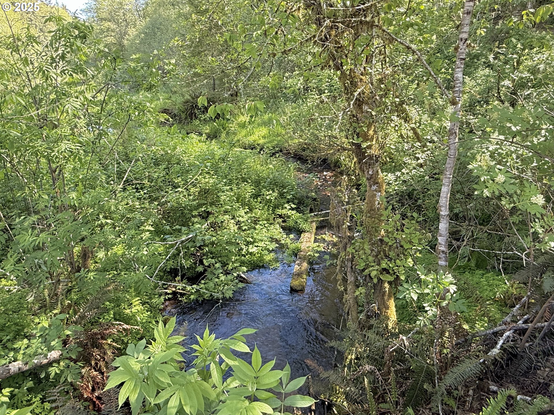 73000 Clatskanie Heights Road Clatskanie, OR 97016 - Photo 16 of 28 a view of a garden with plants