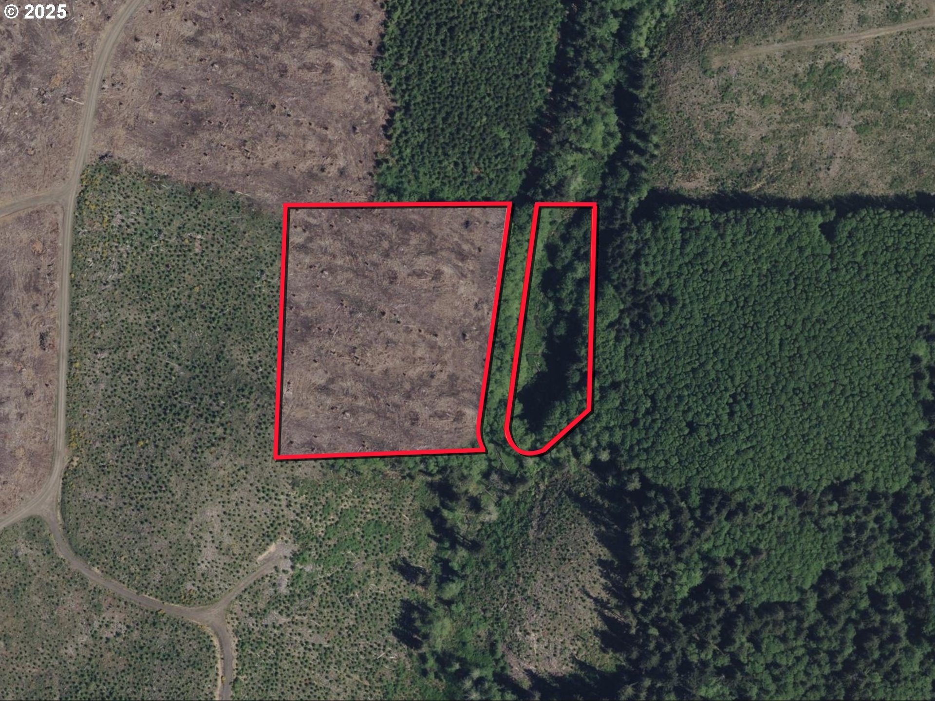 73000 Clatskanie Heights Road Clatskanie, OR 97016 - Photo 18 of 28 a view of a backyard