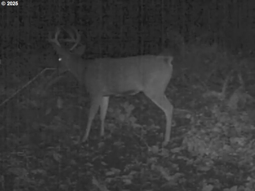 73000 Clatskanie Heights Road Clatskanie, OR 97016 - Photo 4 of 28 a close view of a shower
