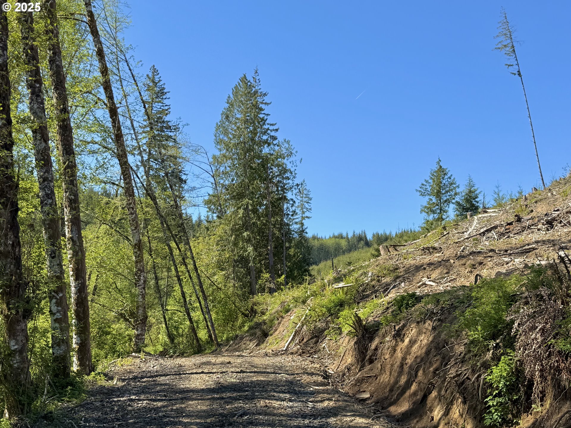 73000 Clatskanie Heights Road Clatskanie, OR 97016 - Photo 5 of 28 a view of a yard