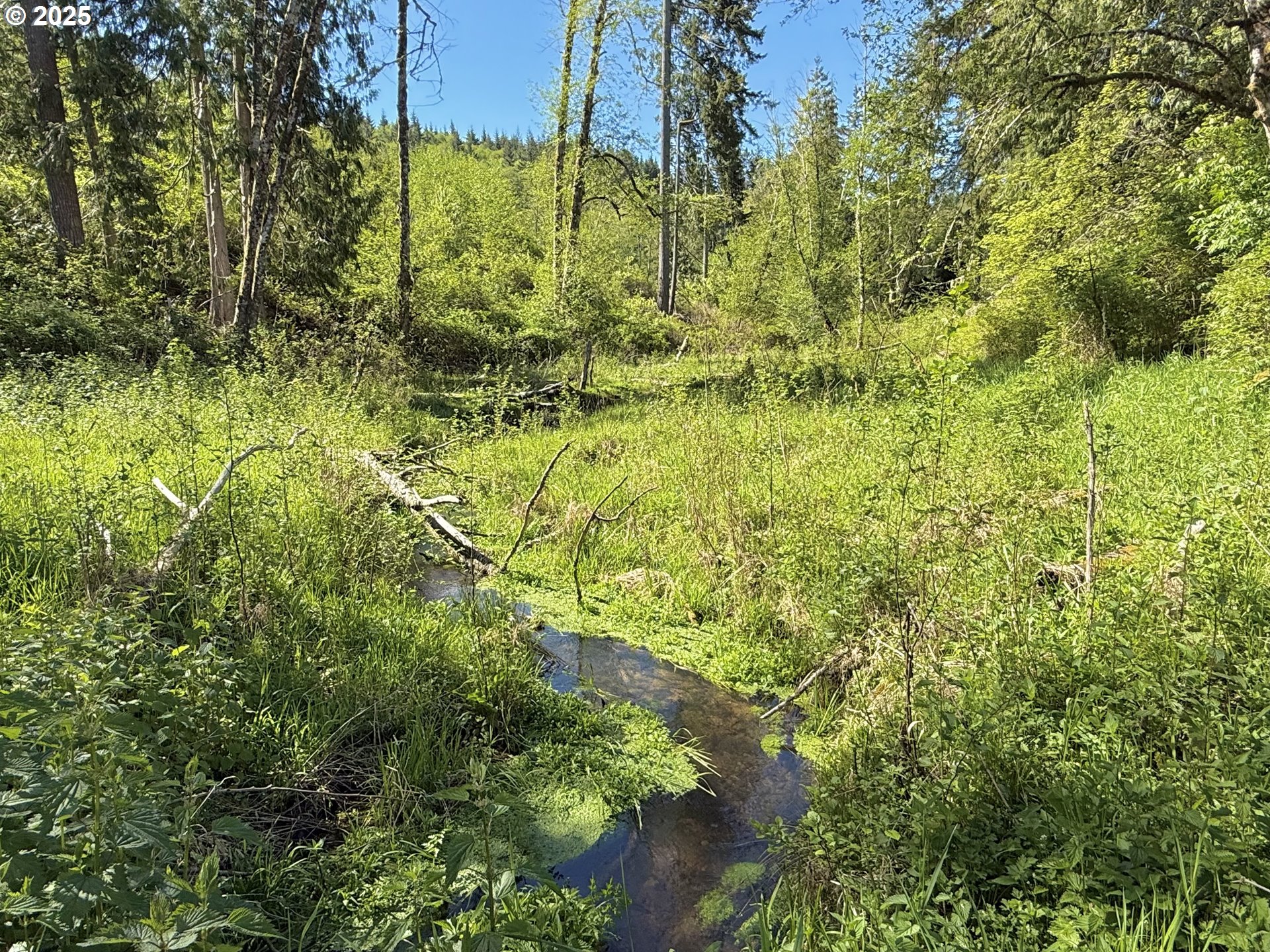 73000 Clatskanie Heights Road Clatskanie, OR 97016 - Photo 6 of 28