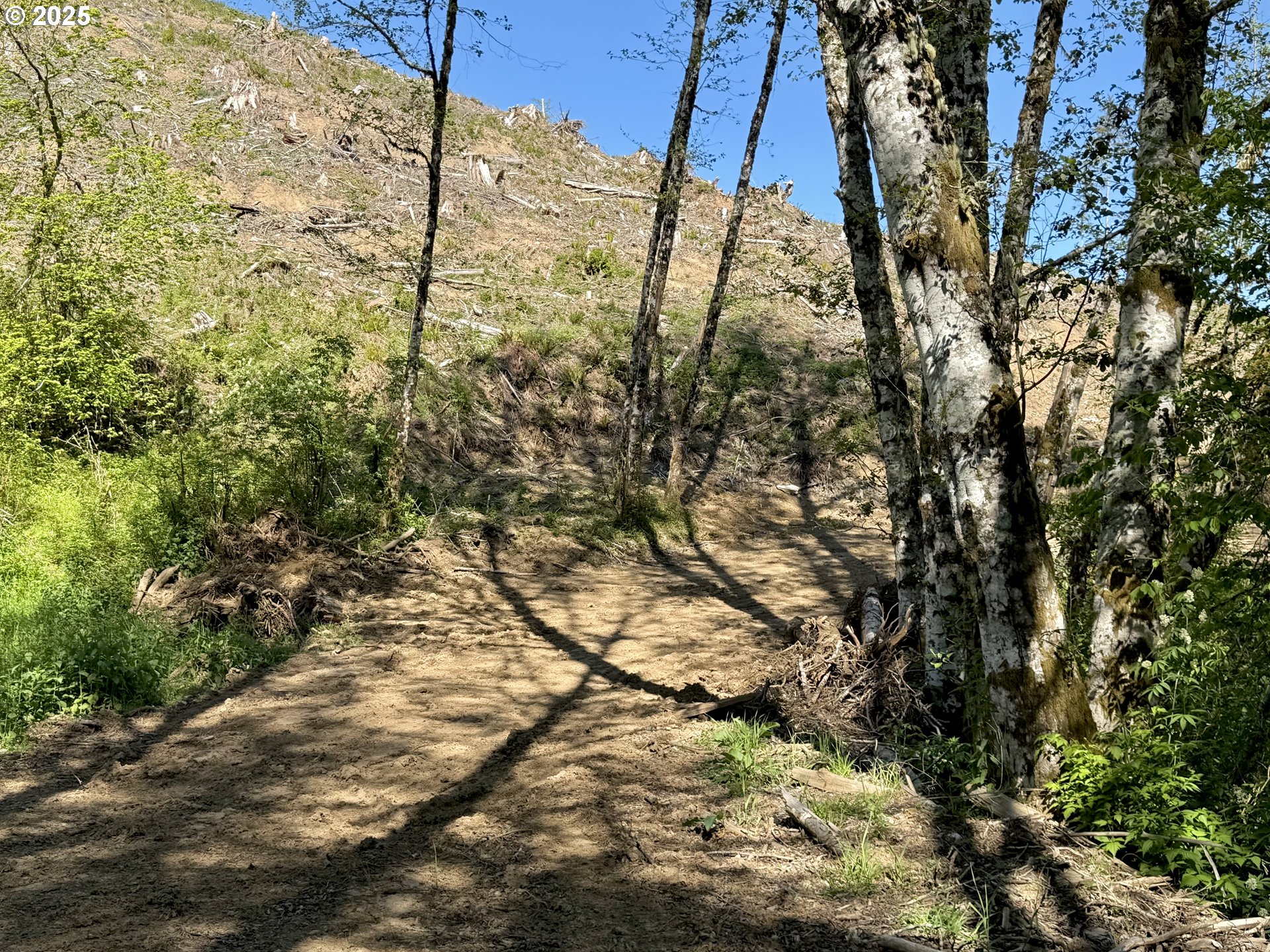 73000 Clatskanie Heights Road Clatskanie, OR 97016 - Photo 10 of 28 a view of yard