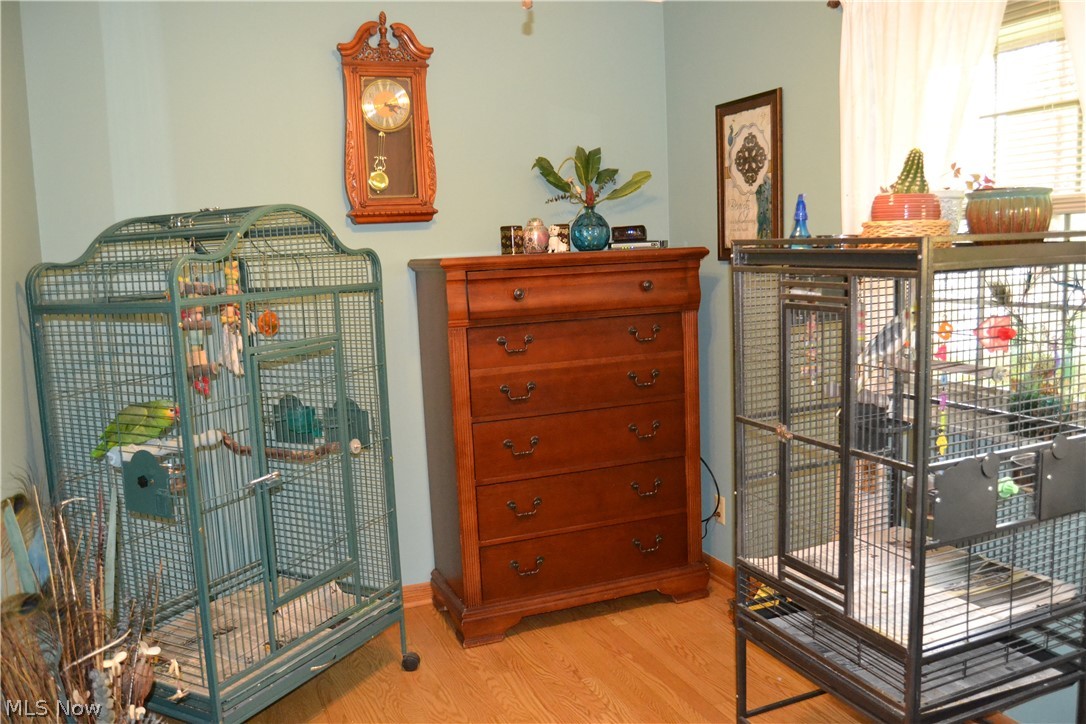 118 Robson Road Marietta, OH 45750 - Photo 14 of 21 Bedroom #3 - currently the home of two parrots. They will be moving when the house is sold.