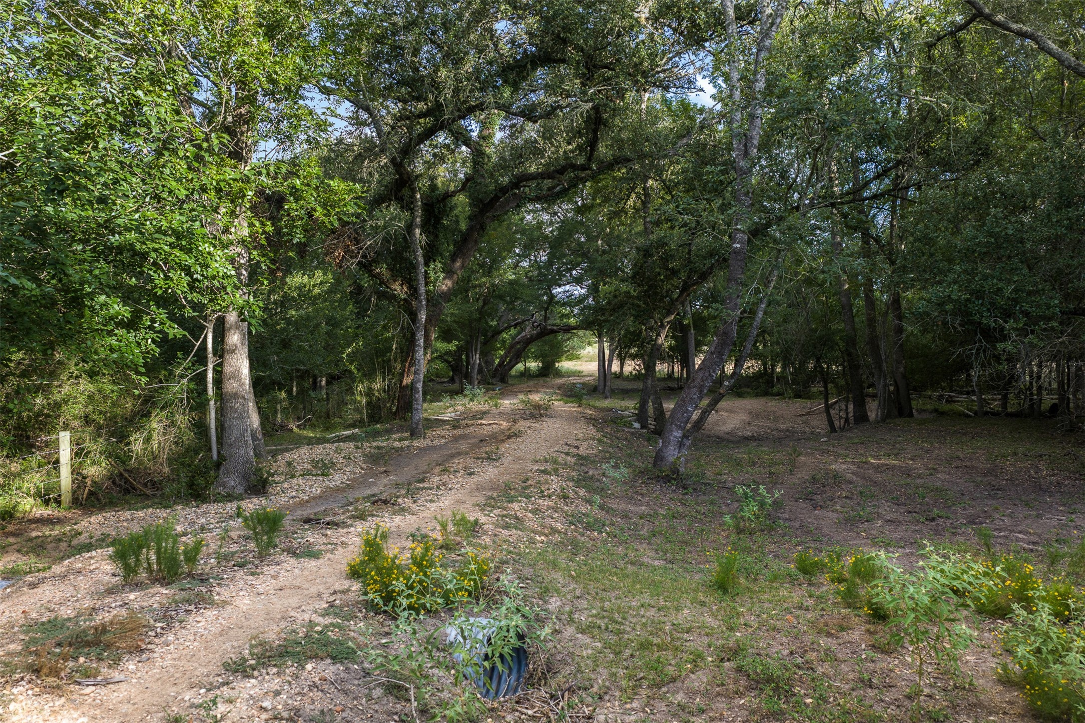444 North Nassau Road Round Top, TX 78954 - Photo 17 of 19 Gallery Image 17