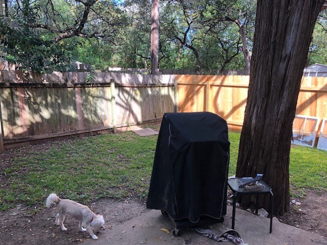 1507 Camp Craft Road, Unit D Austin, TX 78746 - Photo 7 of 12