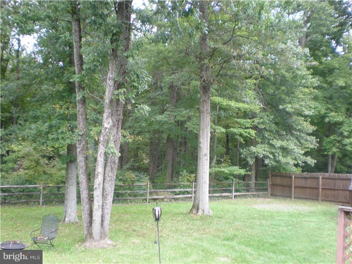 1519 Almshouse Road Jamison, PA 18929 - Photo 13 of 19 Exterior Back
