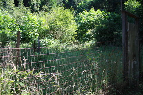 7025 West End Road Arcata, CA 95521 - Photo 6 of 19 Gallery Image 6