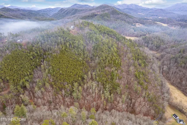 $1,495,000 | 504 Twin Oak Mountain Lane, Townsend, TN 37882