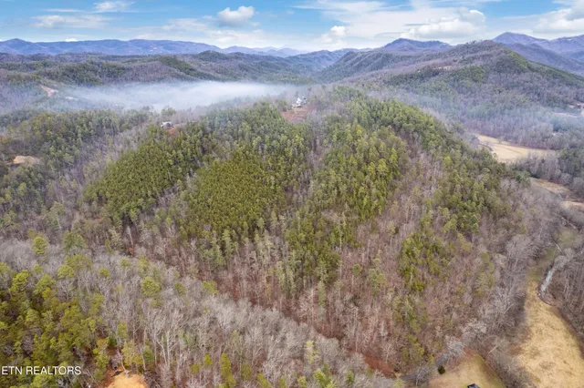 $1,495,000 | 504 Twin Oak Mountain Lane, Townsend, TN 37882