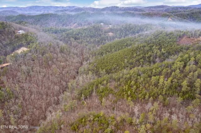 $1,495,000 | 504 Twin Oak Mountain Lane, Townsend, TN 37882