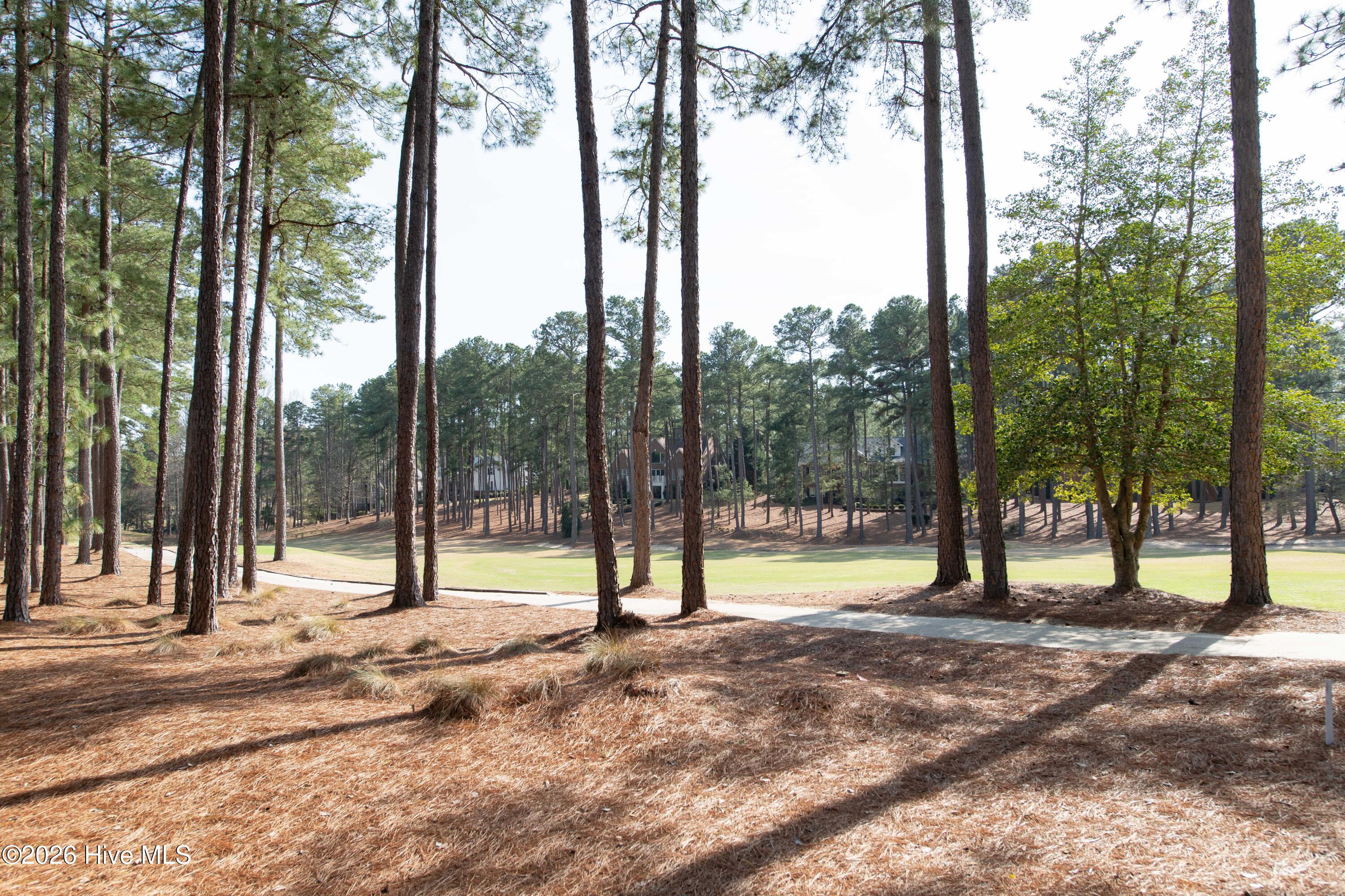 26 Strathaven Drive Pinehurst, NC 28374 - Photo 81 of 97 DSC_6032