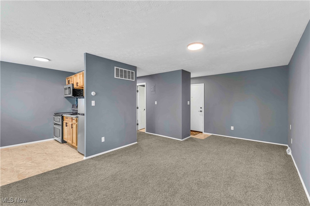 6640 Pearl Road, Unit 104 Cleveland, OH 44130 - Photo 9 of 31 Unfurnished living room with baseboards, light colored carpet, and a textured ceiling