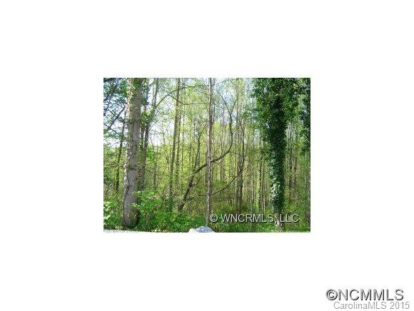 0 Pinnacle Road Brevard, NC 28712 - Photo 1 of 3 Gallery Image 1