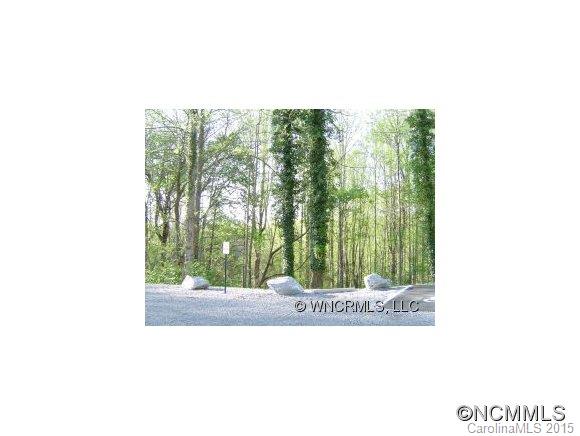 0 Pinnacle Road Brevard, NC 28712 - Photo 2 of 3 Gallery Image 2
