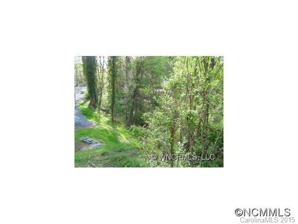 0 Pinnacle Road Brevard, NC 28712 - Photo 3 of 3 Gallery Image 3
