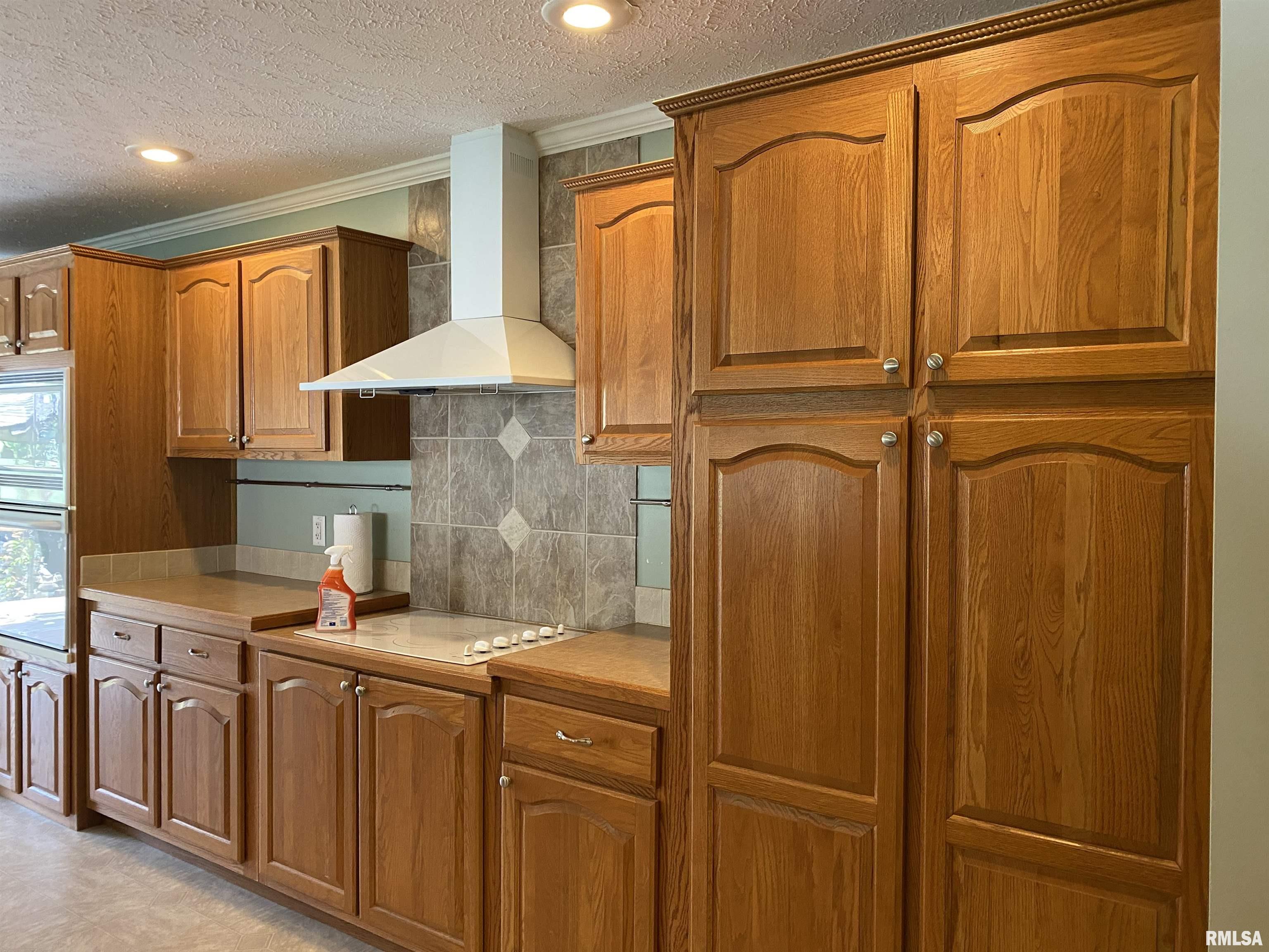 915 Sullivan Road Makanda, IL 62958 - Photo 15 of 27