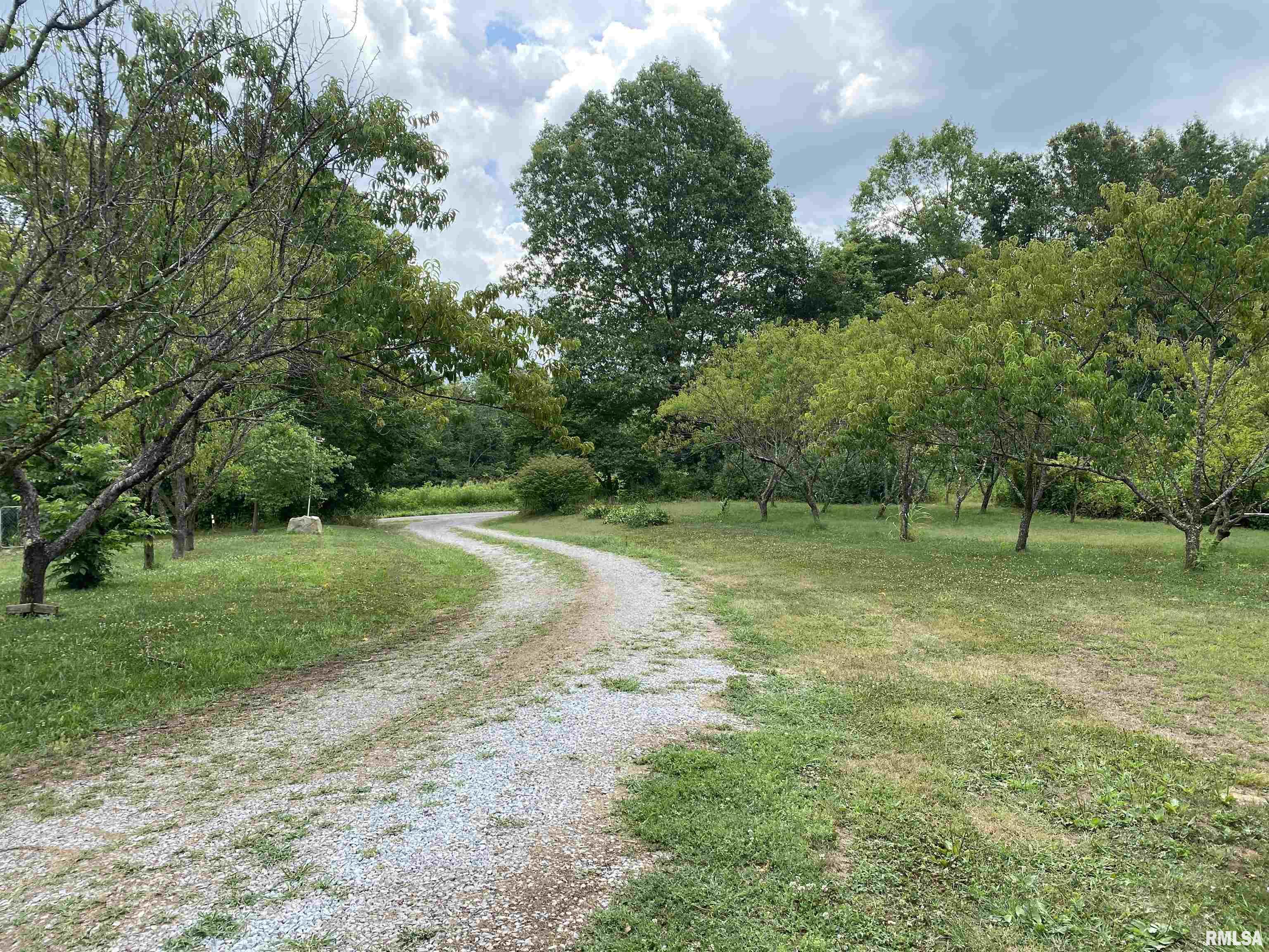 915 Sullivan Road Makanda, IL 62958 - Photo 17 of 27