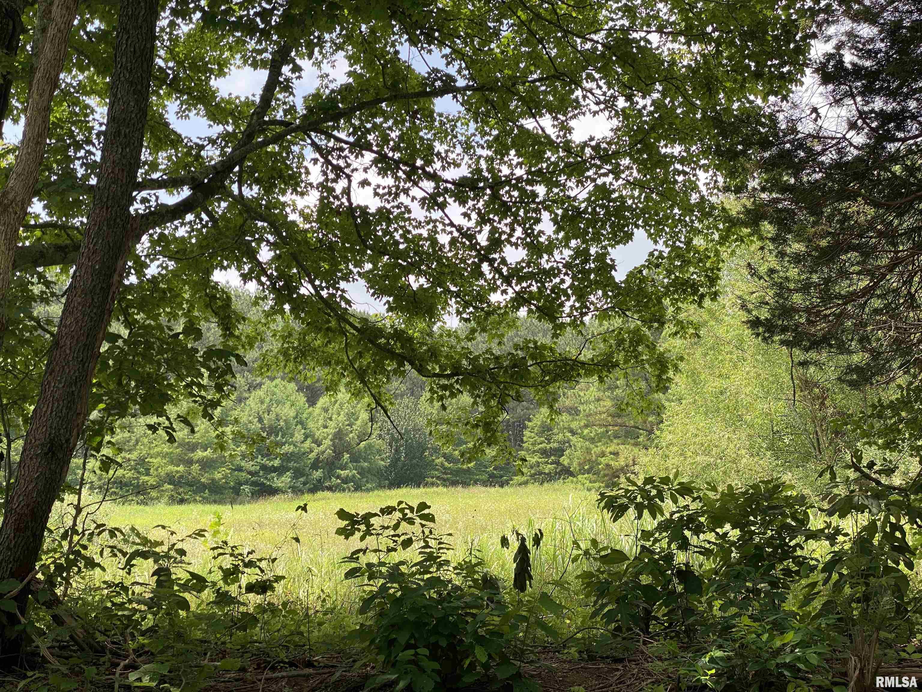 915 Sullivan Road Makanda, IL 62958 - Photo 2 of 27