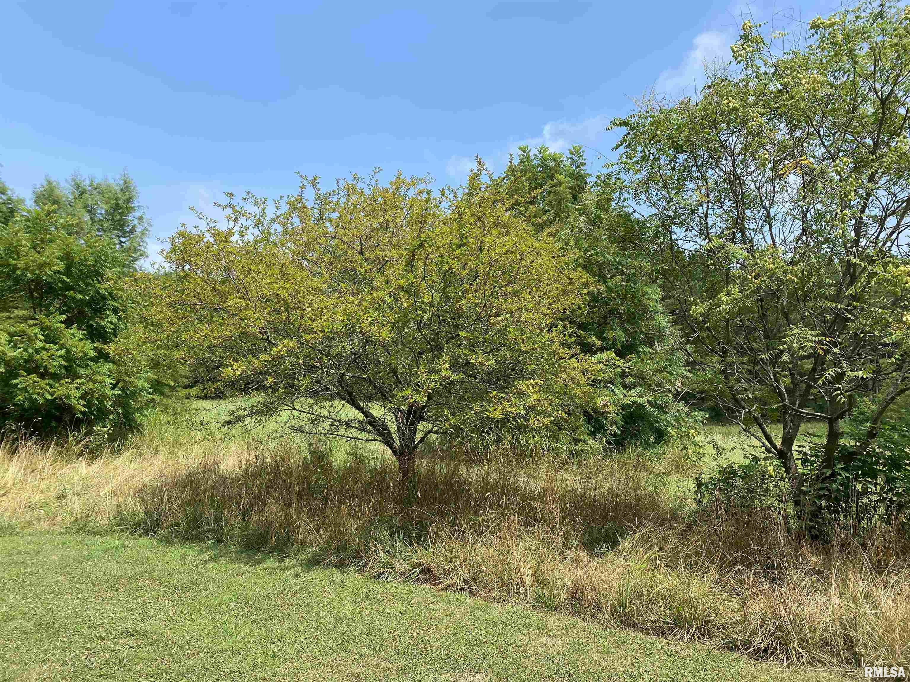 915 Sullivan Road Makanda, IL 62958 - Photo 7 of 27