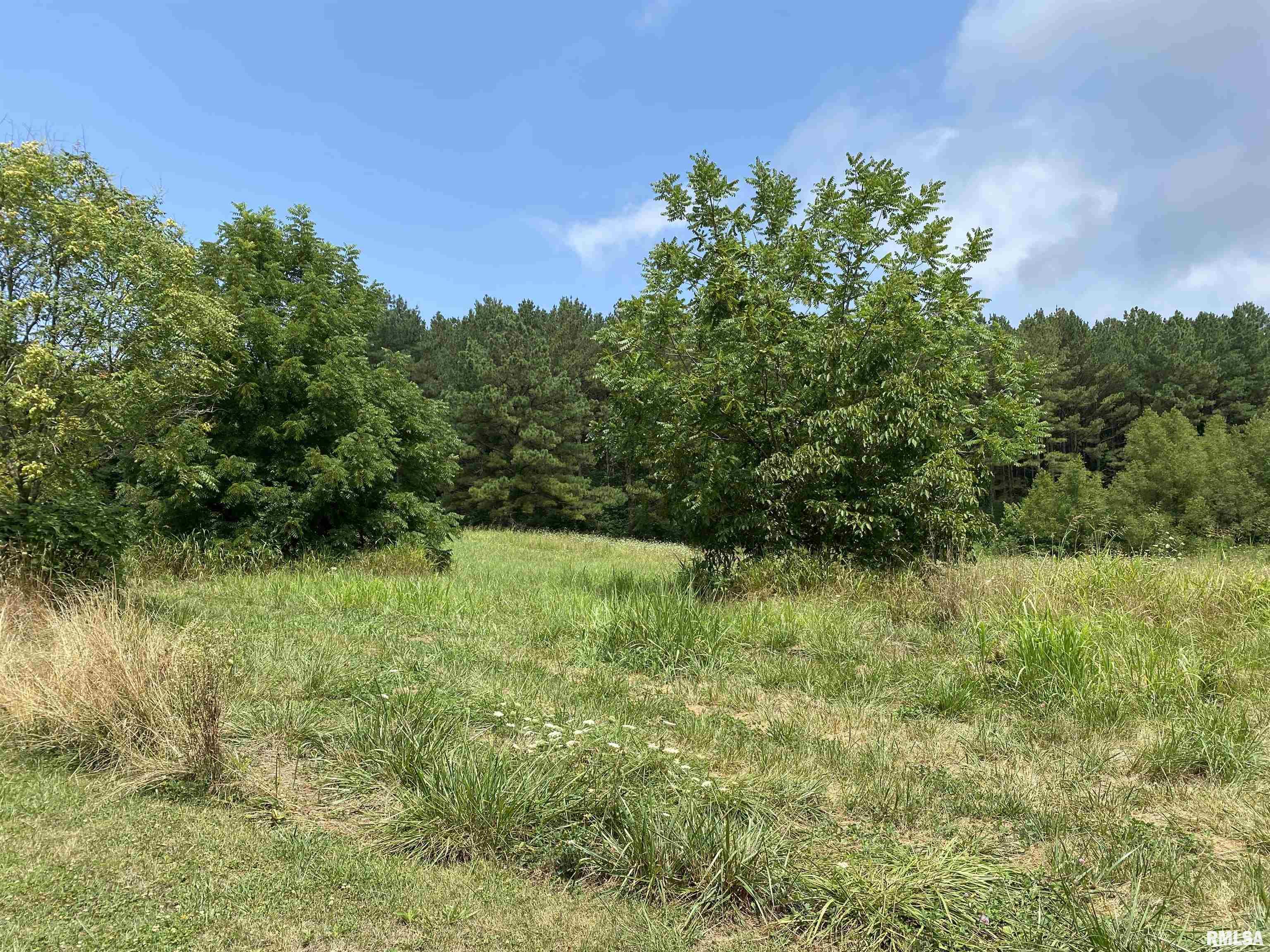 915 Sullivan Road Makanda, IL 62958 - Photo 8 of 27