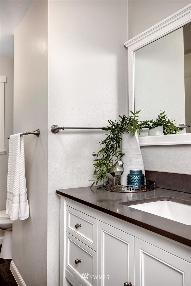 24326 Meridian Avenue South Bothell, WA 98021 - Photo 17 of 40 a potted plant sitting on top of a sink