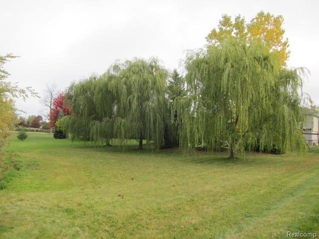 2138 River Road St. Clair, MI 48079 - Photo 9 of 34 IMG_5959.JPG