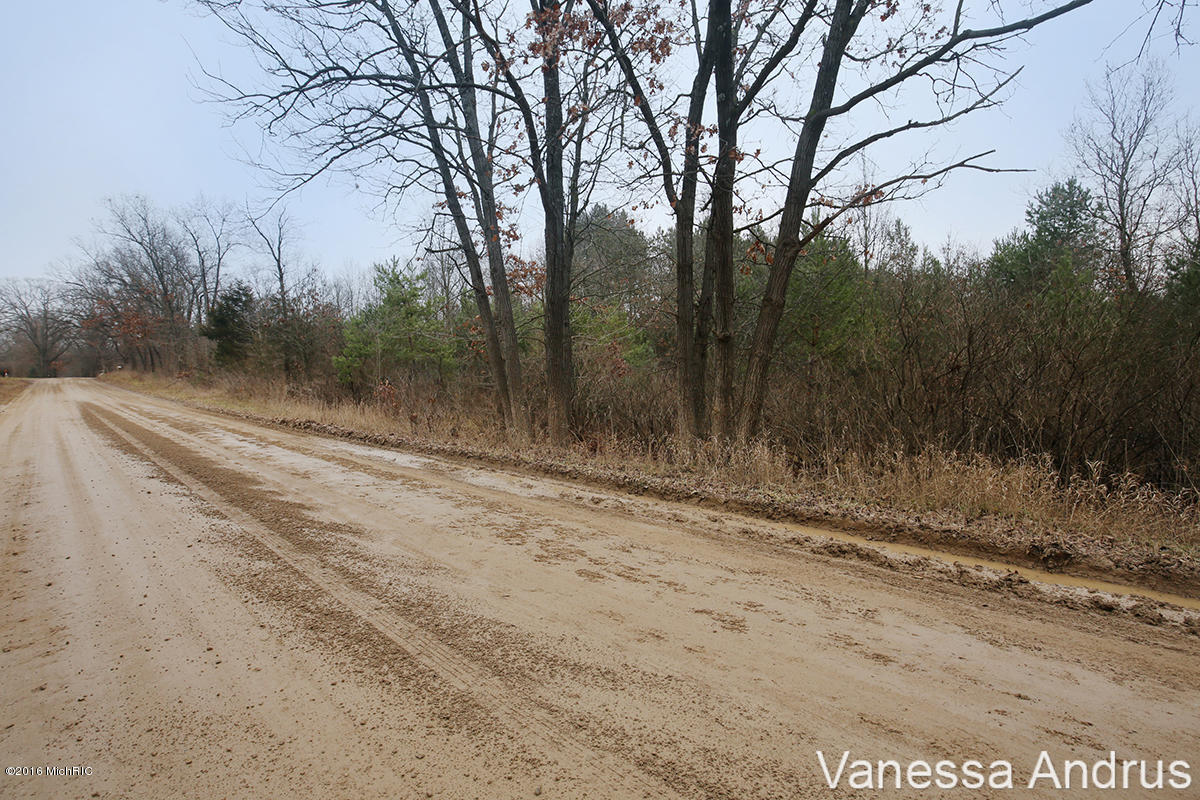 Bricker Road Belding, MI 48809 - Photo 3 of 7 IMG_6766